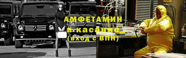 прущие грибы Новокубанск